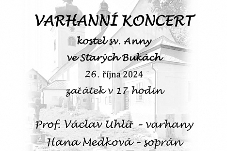 Varhanní koncert